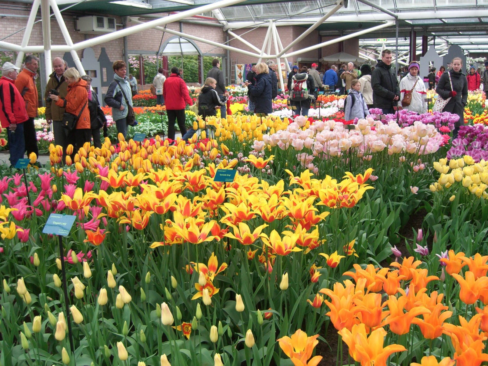 Netherlands Keukenhof